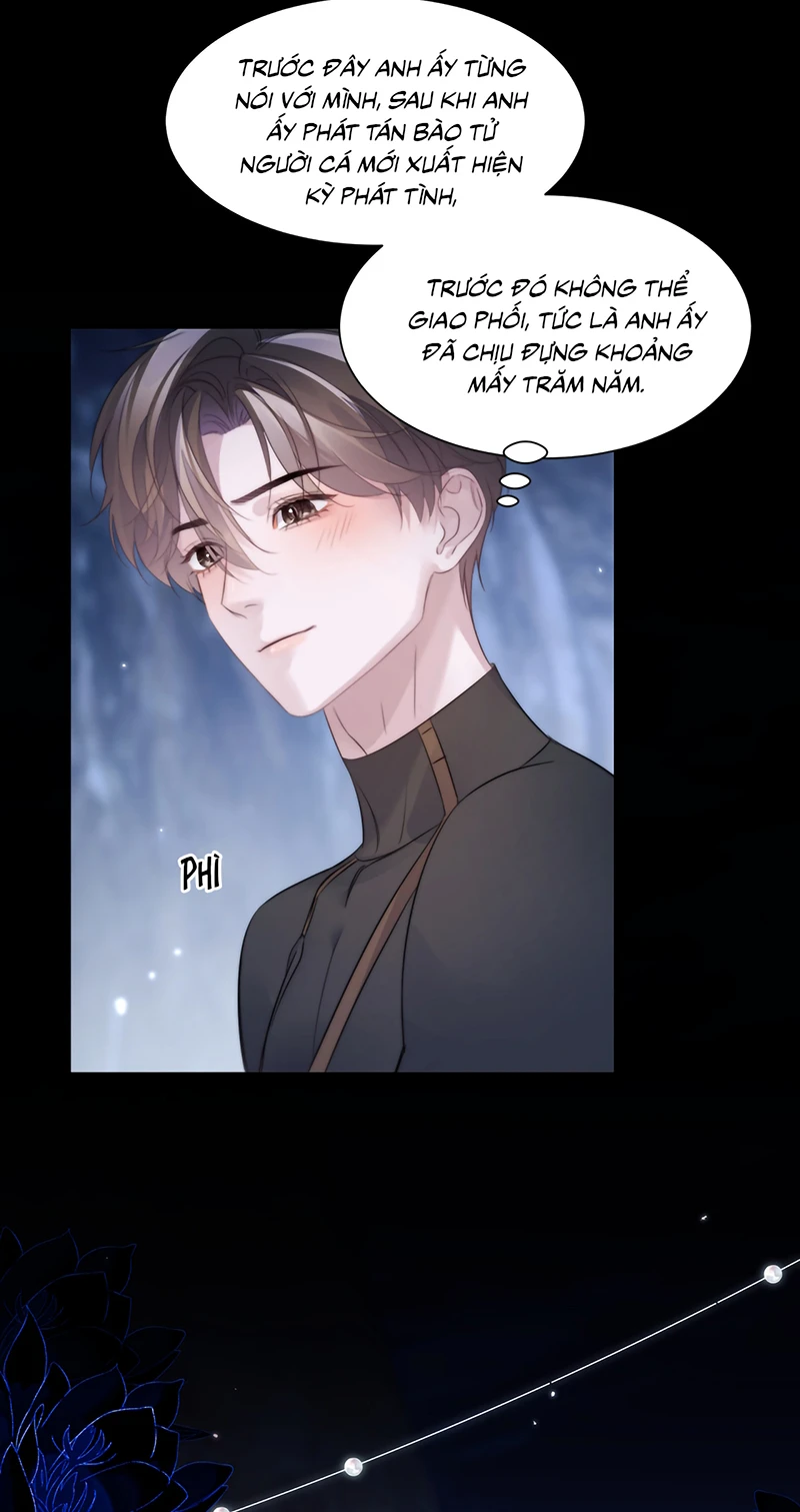 Desharow Nhân Ngư Chapter 128 - 26