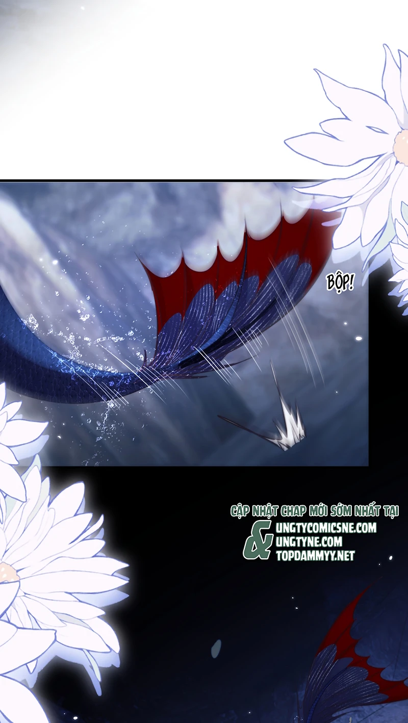 Desharow Nhân Ngư Chapter 129 - 20