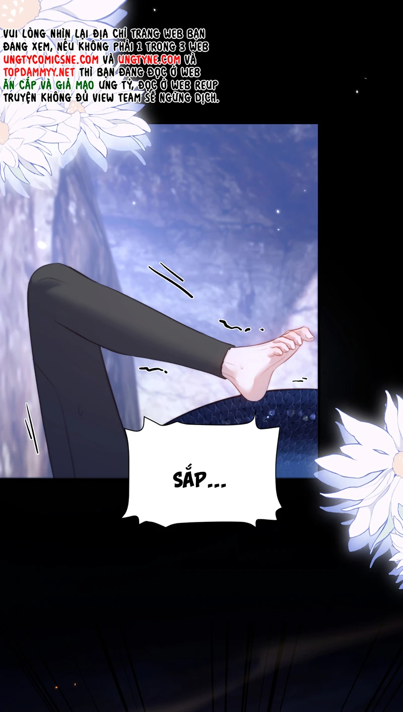 Desharow Nhân Ngư Chapter 129 - 22