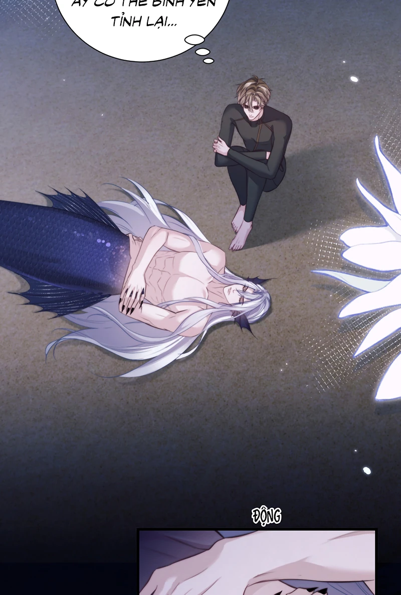 Desharow Nhân Ngư Chapter 130 - 22