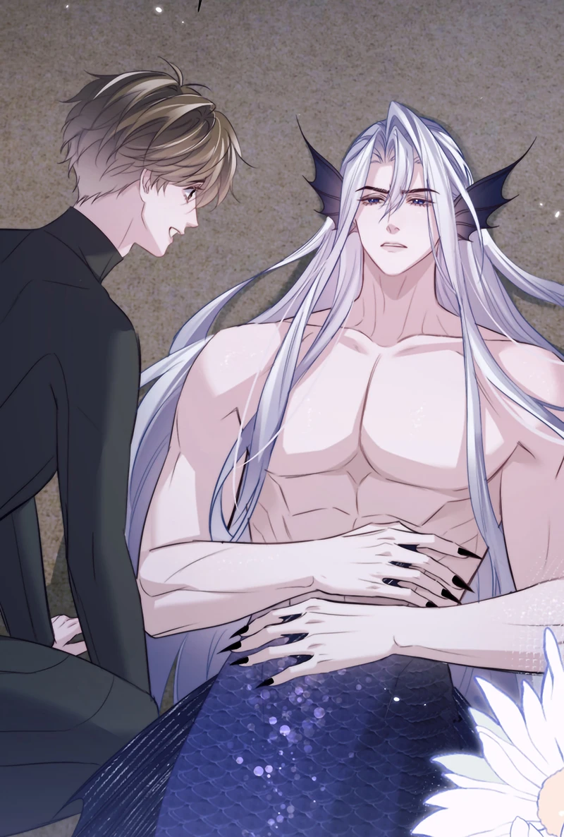 Desharow Nhân Ngư Chapter 130 - 24