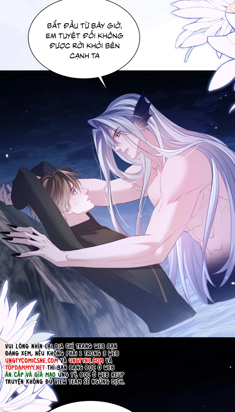 Desharow Nhân Ngư Chapter 131 - 9