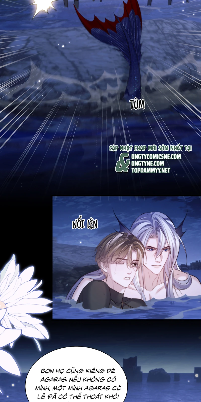 Desharow Nhân Ngư Chapter 131 - 31