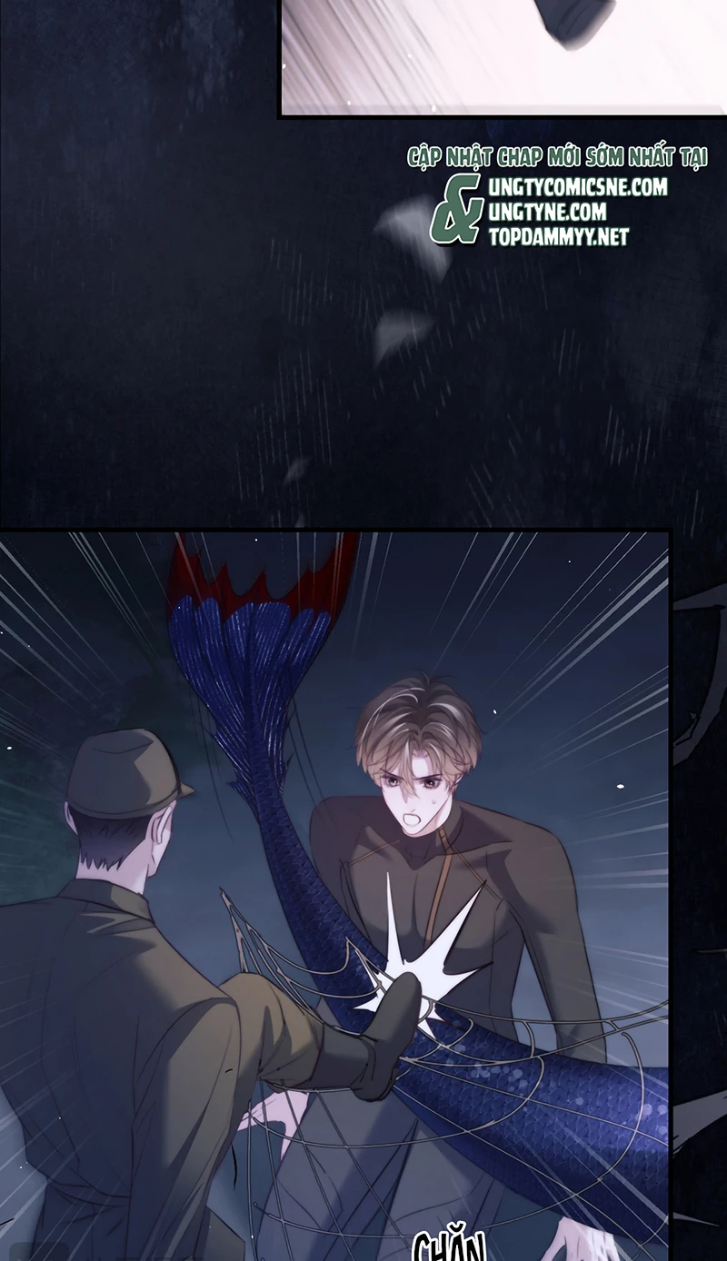 Desharow Nhân Ngư Chapter 132 - 24