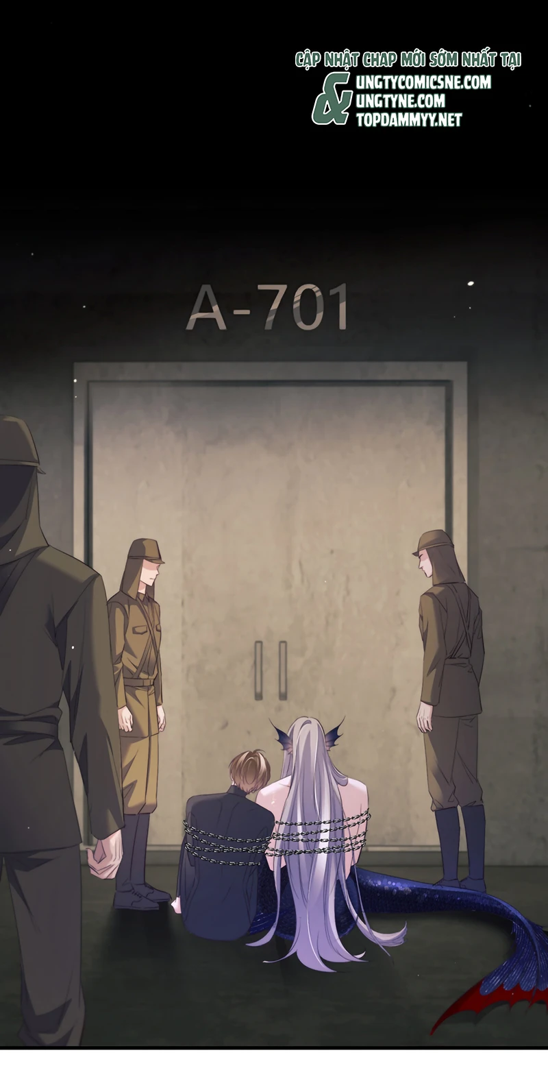 Desharow Nhân Ngư Chapter 132 - 29