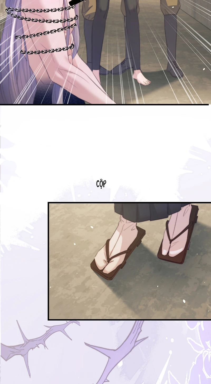 Desharow Nhân Ngư Chapter 133 - 13