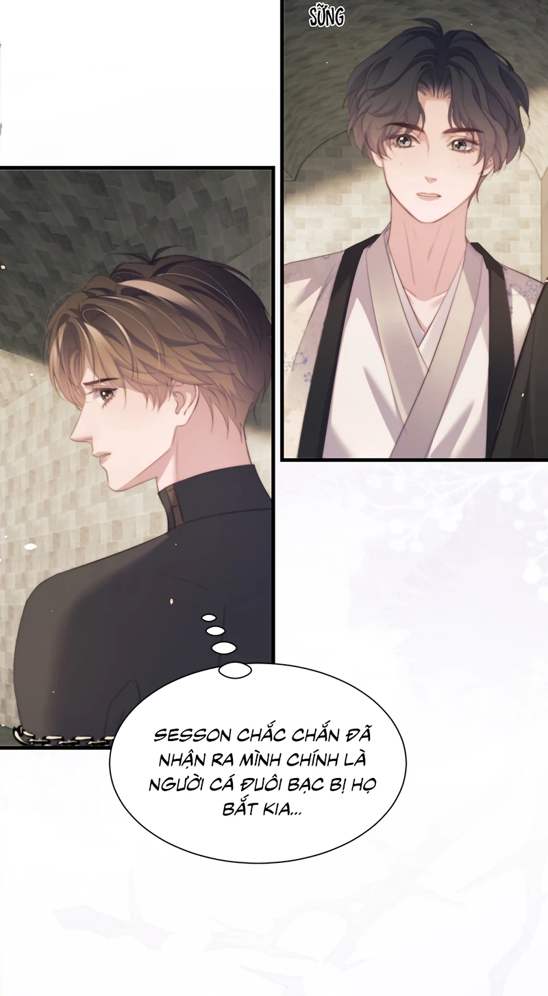 Desharow Nhân Ngư Chapter 133 - 15