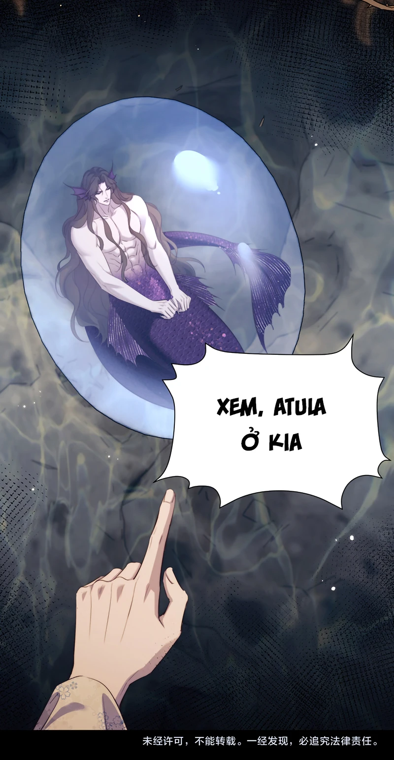 Desharow Nhân Ngư Chapter 135 - 36