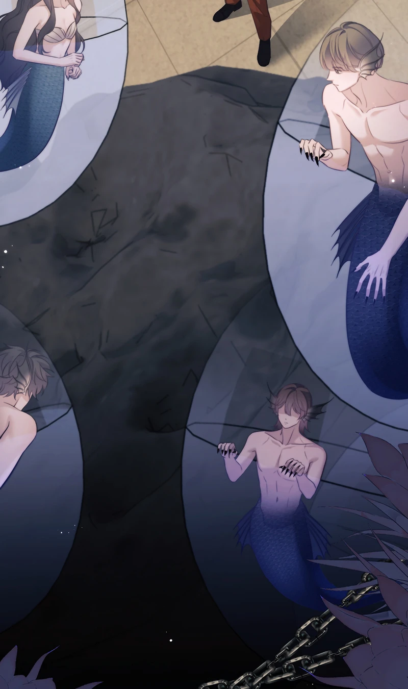 Desharow Nhân Ngư Chapter 136 - 11