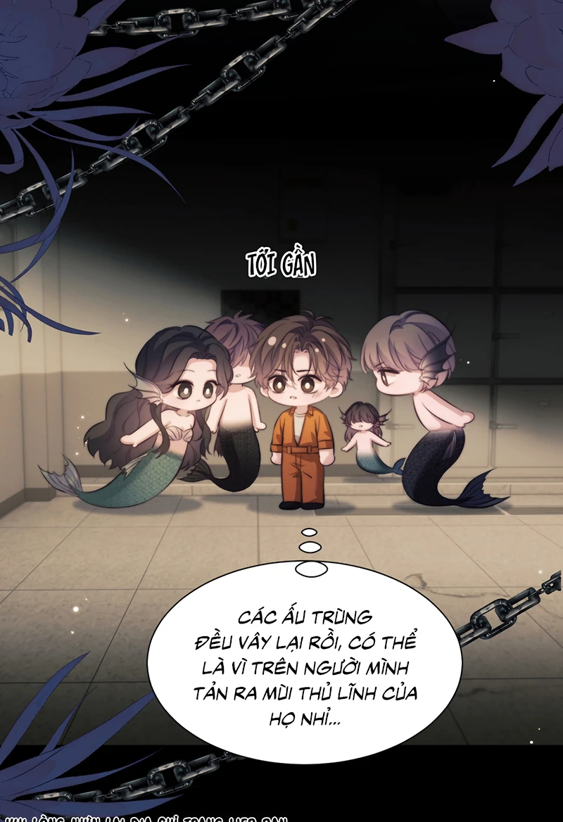 Desharow Nhân Ngư Chapter 136 - 12