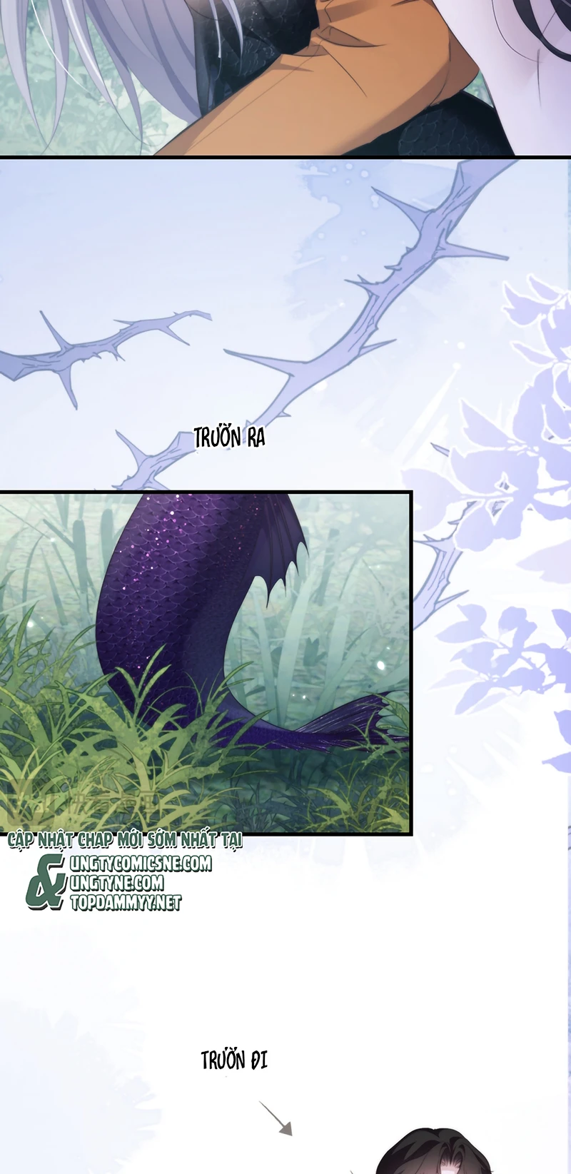 Desharow Nhân Ngư Chapter 138 - 7