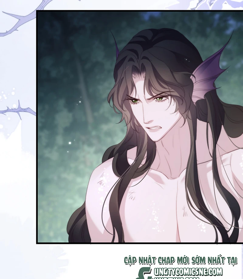 Desharow Nhân Ngư Chapter 138 - 12