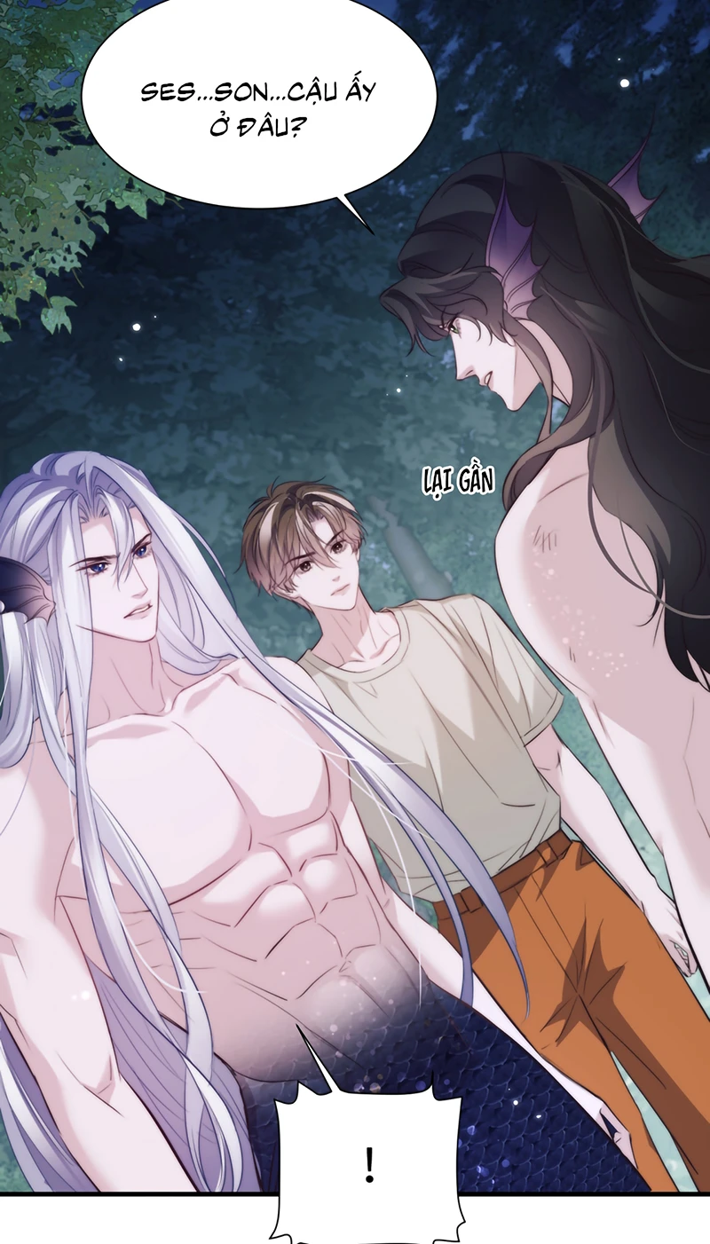 Desharow Nhân Ngư Chapter 138 - 15