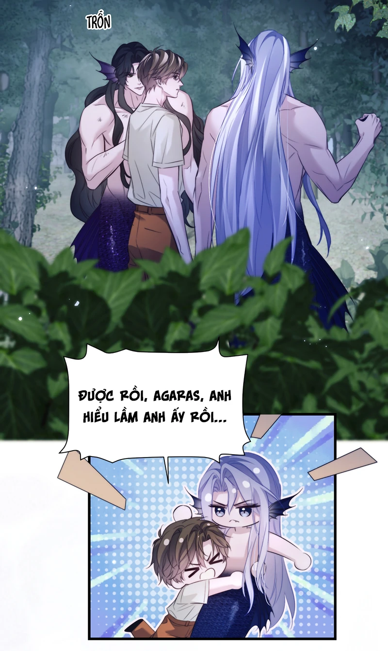 Desharow Nhân Ngư Chapter 138 - 17