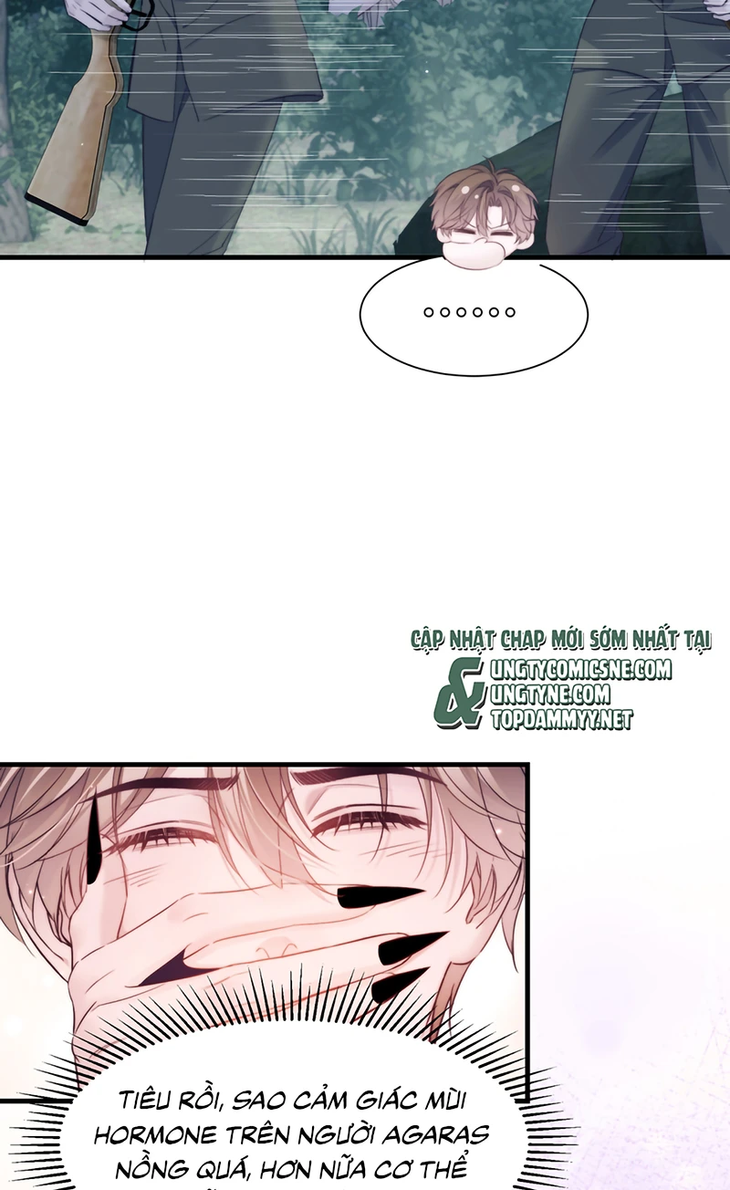 Desharow Nhân Ngư Chapter 138 - 31