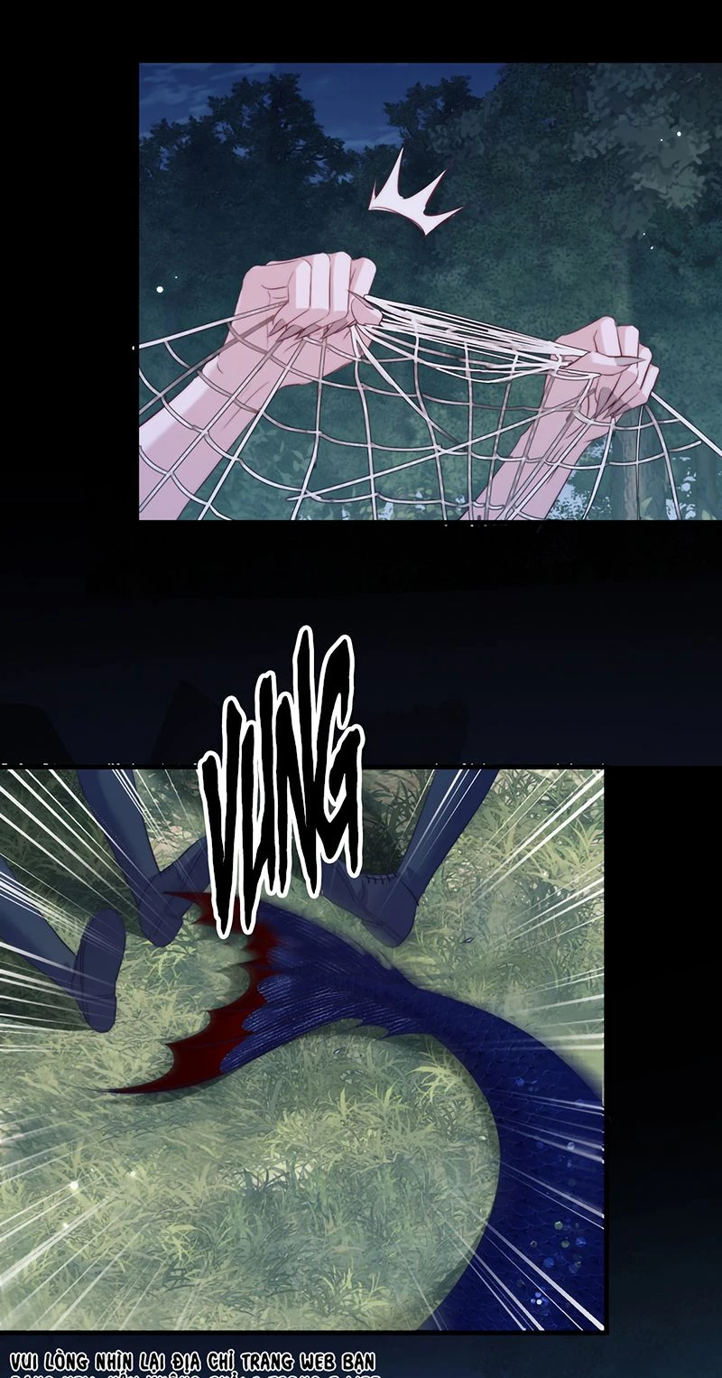 Desharow Nhân Ngư Chapter 139 - 34