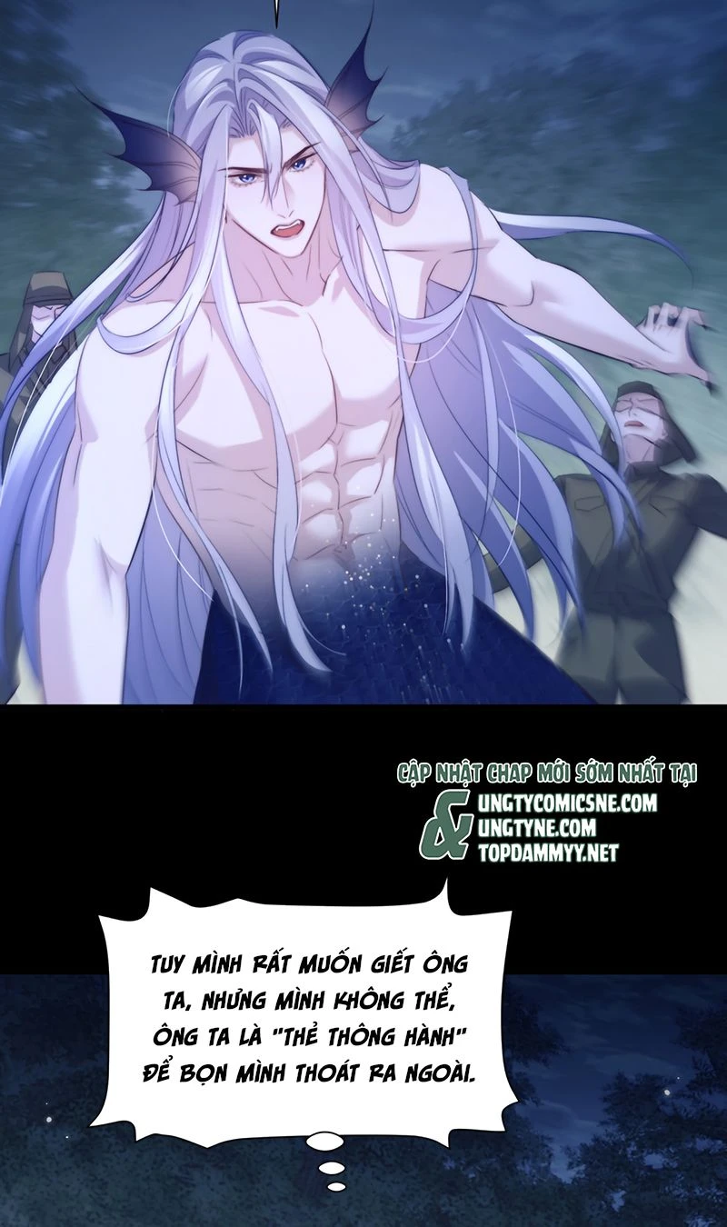 Desharow Nhân Ngư Chapter 140 - 8