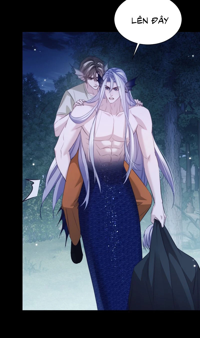 Desharow Nhân Ngư Chapter 140 - 16