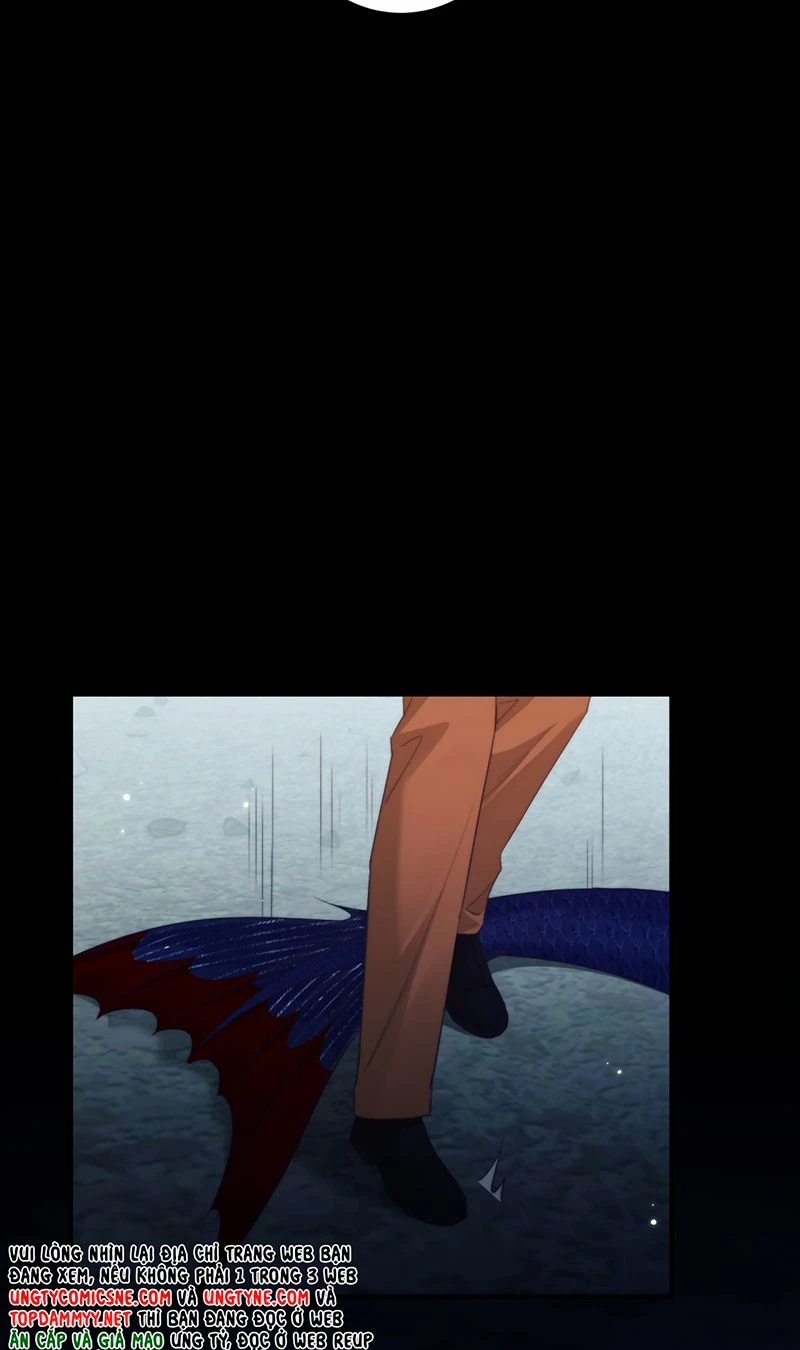 Desharow Nhân Ngư Chapter 140 - 19