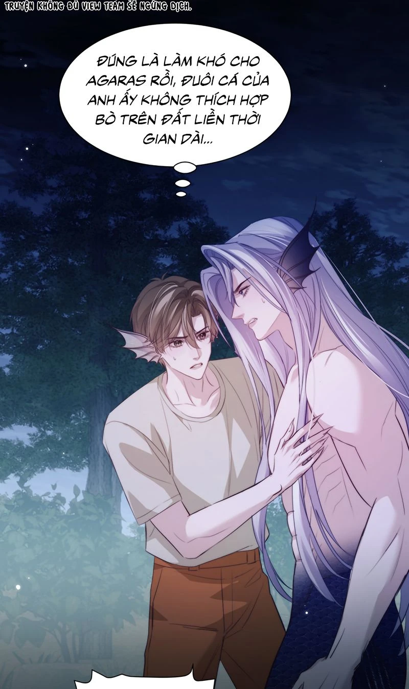 Desharow Nhân Ngư Chapter 140 - 20