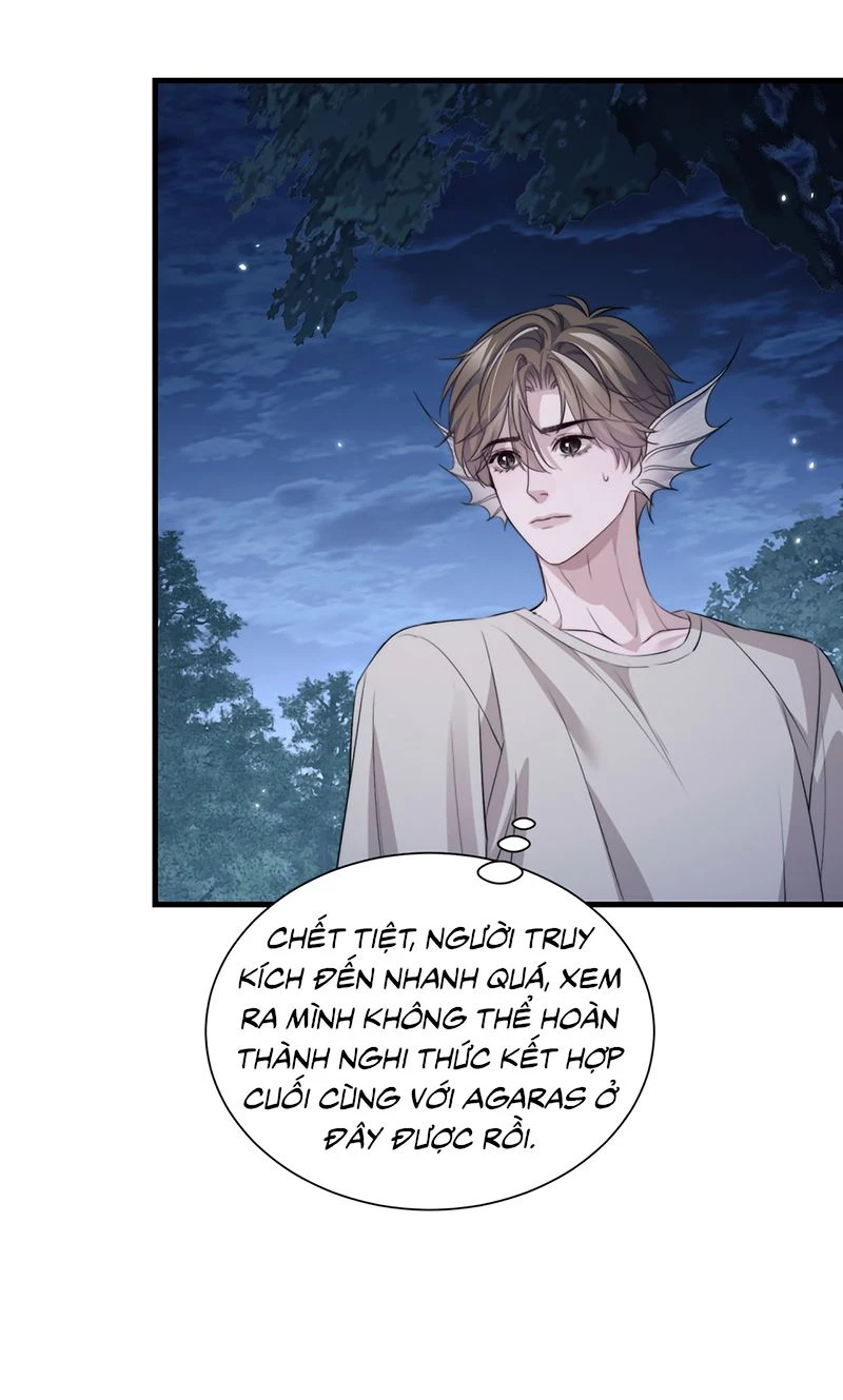 Desharow Nhân Ngư Chapter 141 - 6