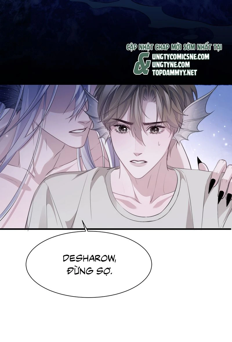 Desharow Nhân Ngư Chapter 141 - 10