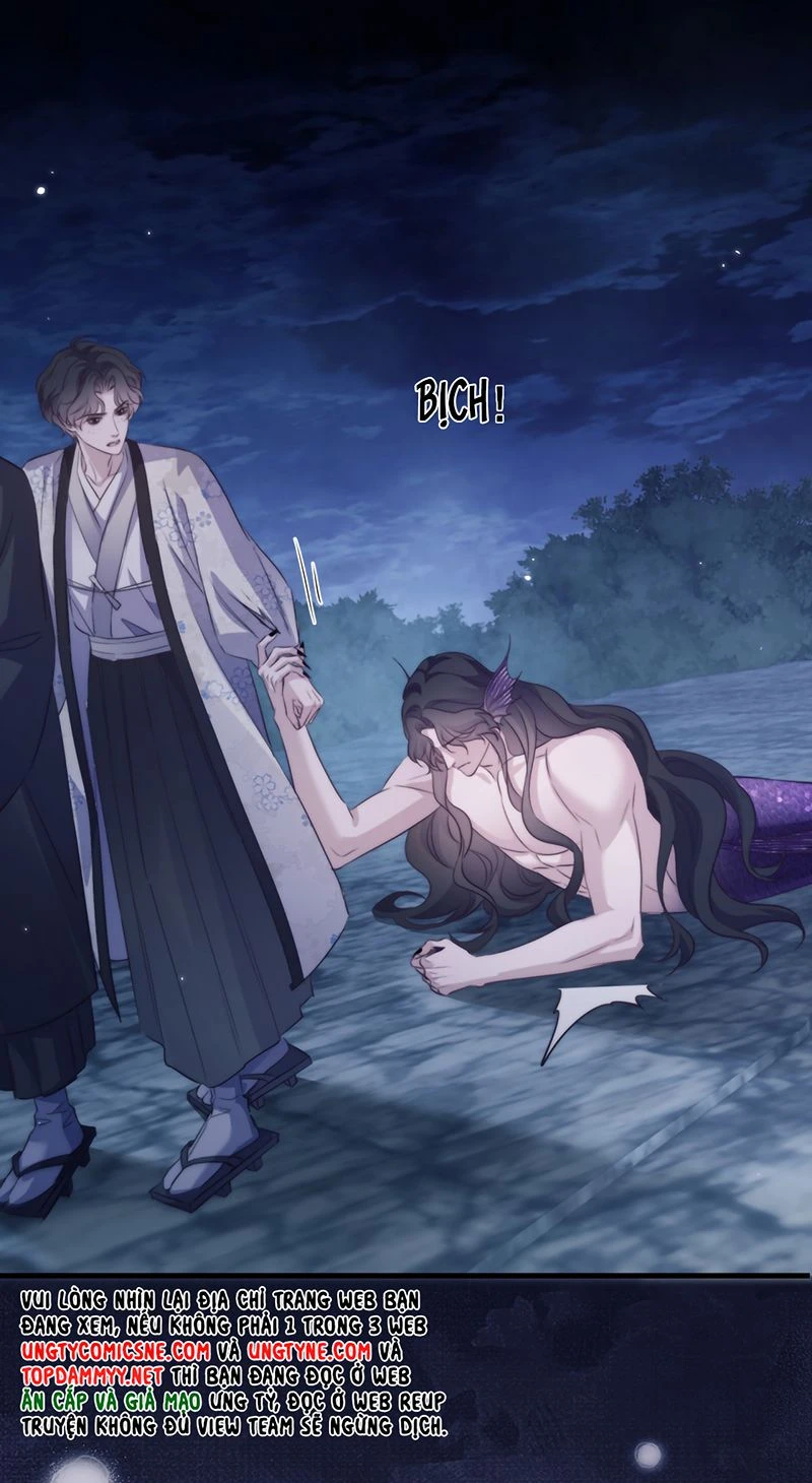 Desharow Nhân Ngư Chapter 141 - 21