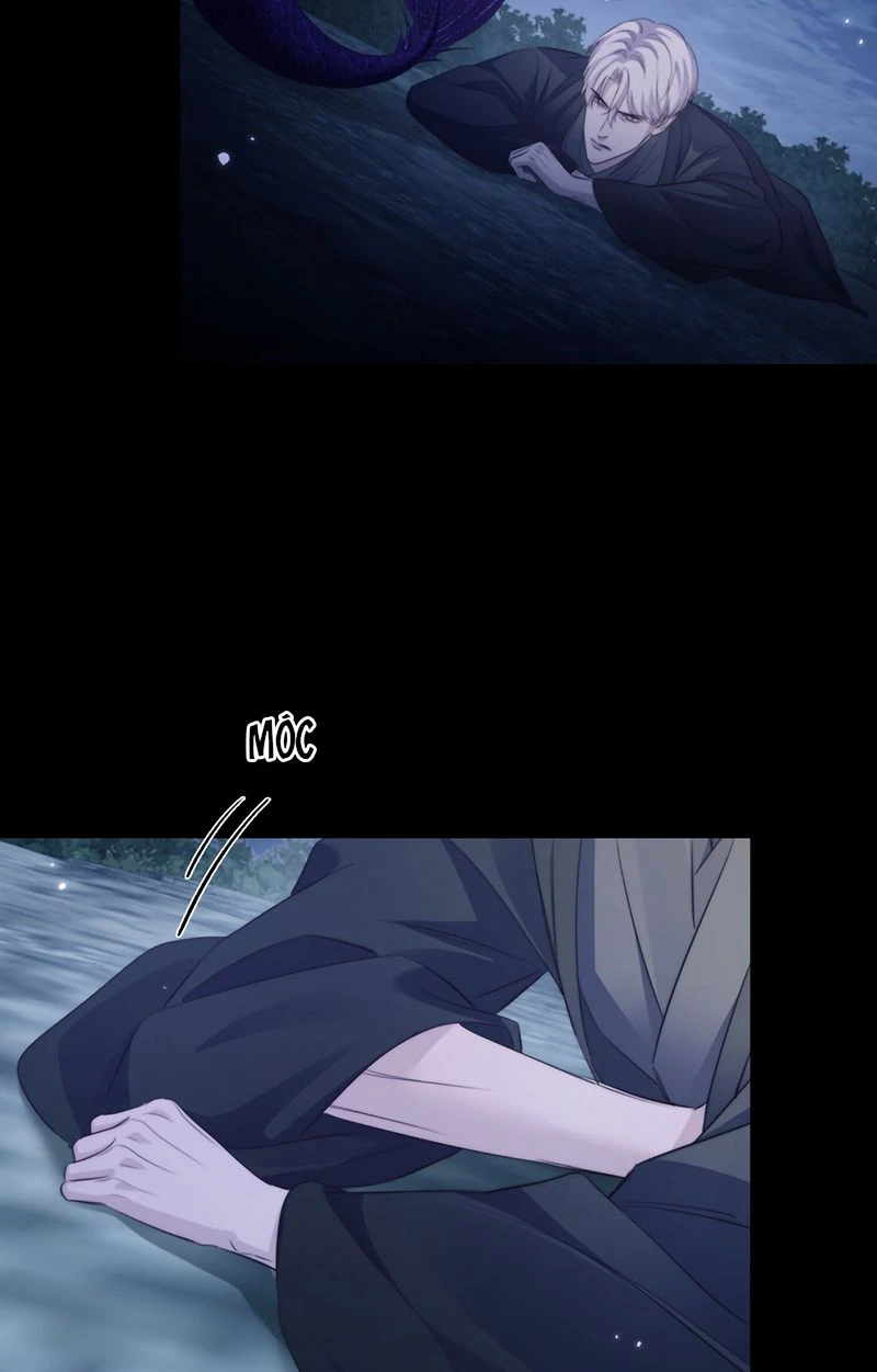 Desharow Nhân Ngư Chapter 141 - 31