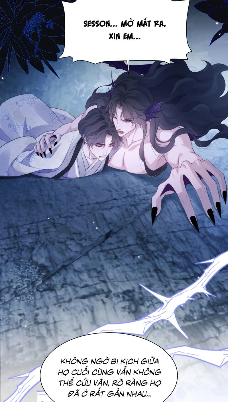 Desharow Nhân Ngư Chapter 142 - 8