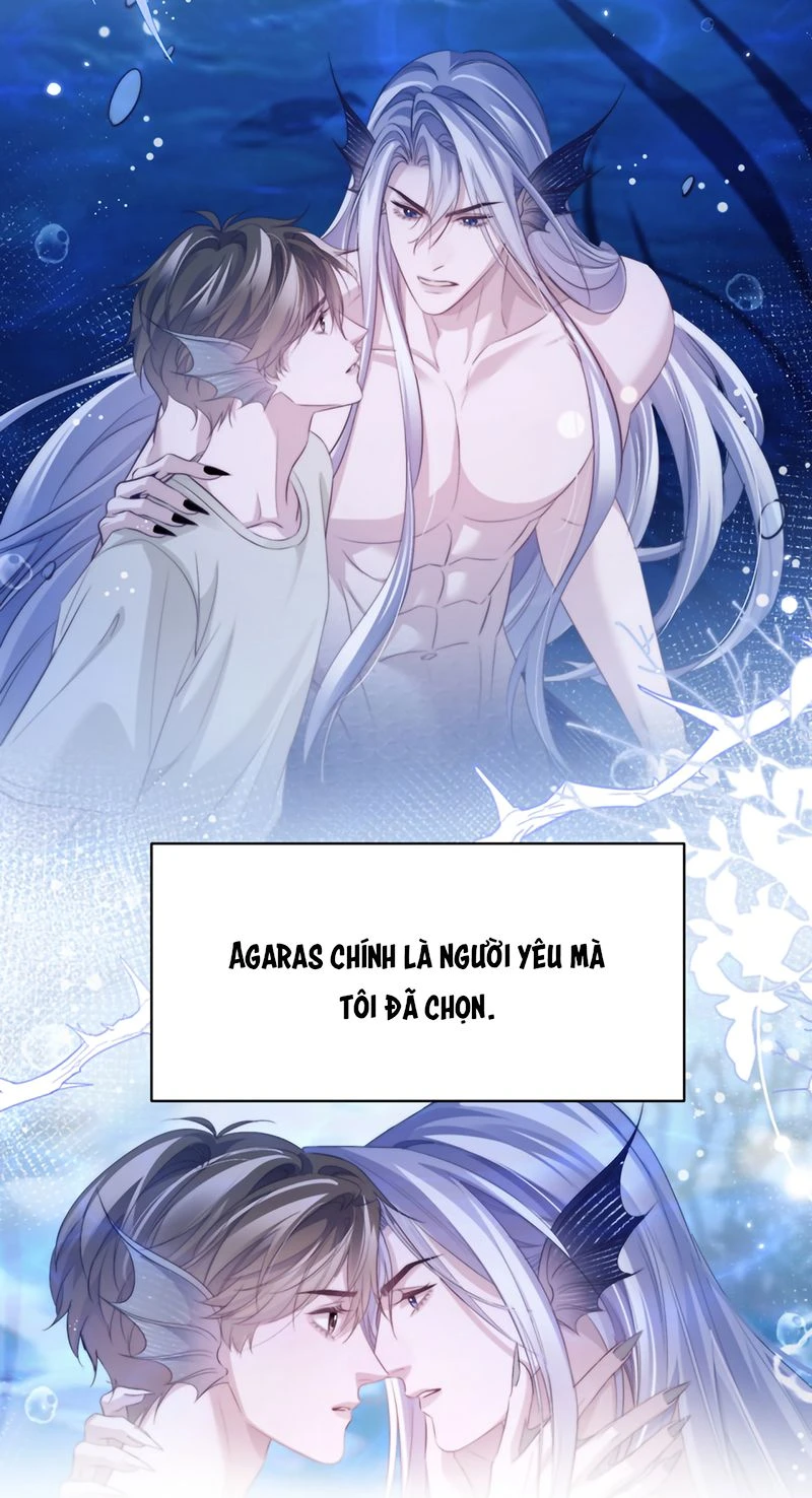 Desharow Nhân Ngư Chapter 142 - 15