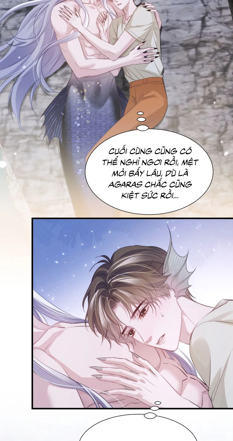 Desharow Nhân Ngư Chapter 142 - 23