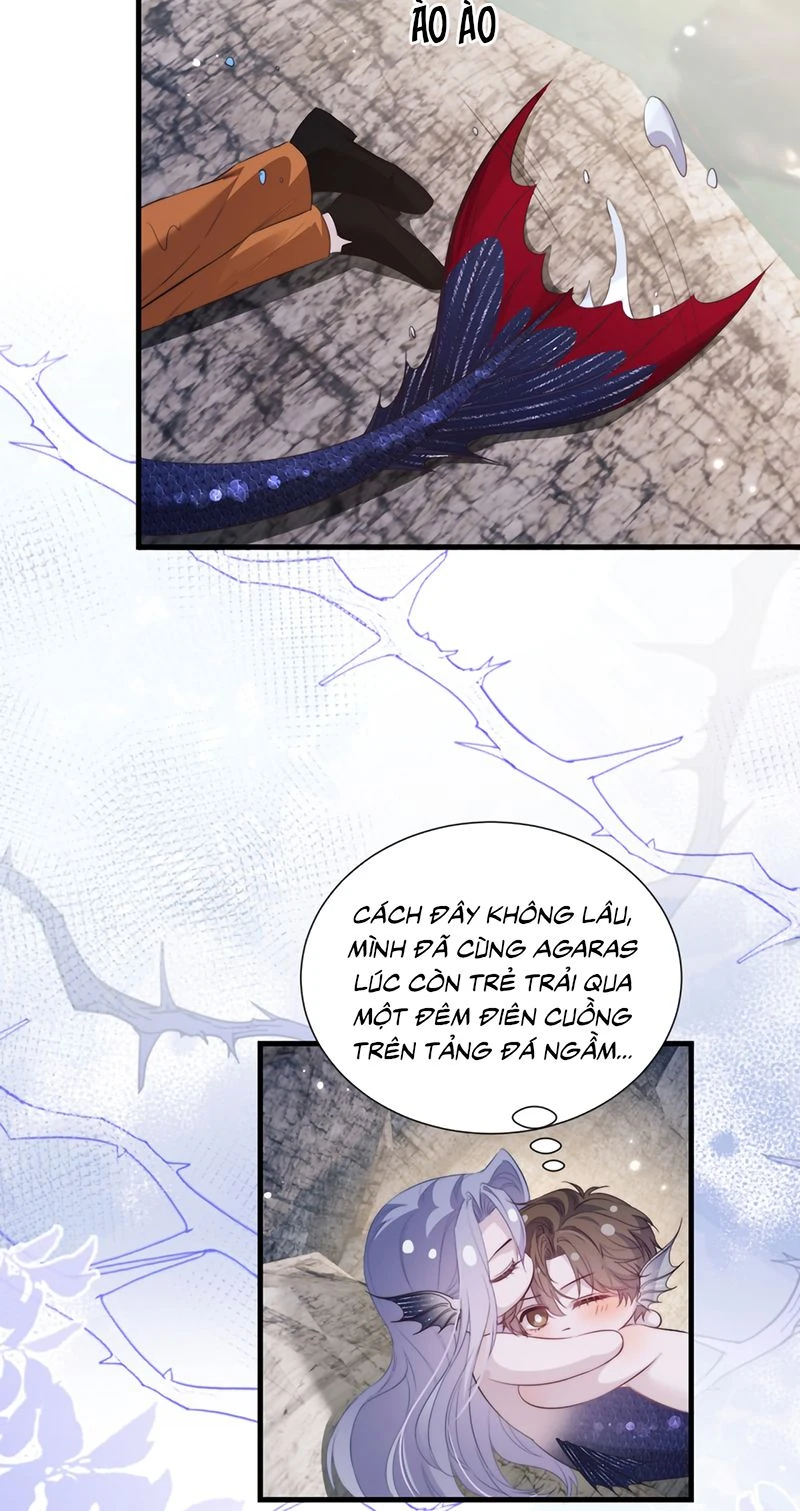 Desharow Nhân Ngư Chapter 142 - 31