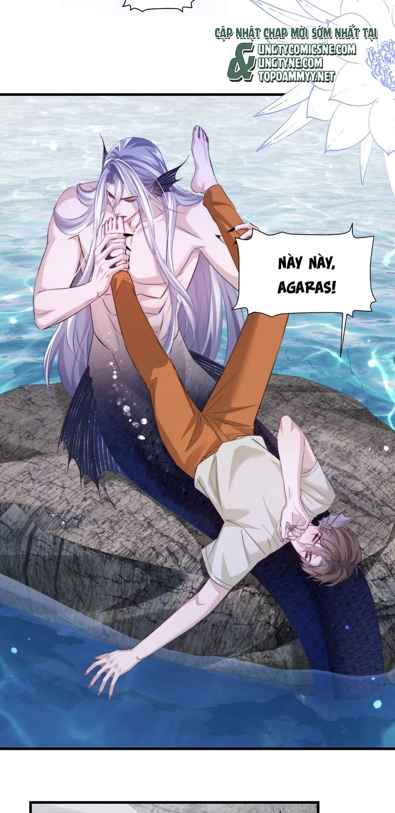 Desharow Nhân Ngư Chapter 143 - 18
