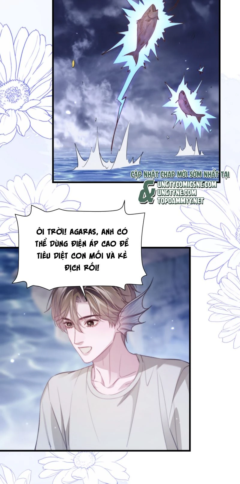 Desharow Nhân Ngư Chapter 144 - 11