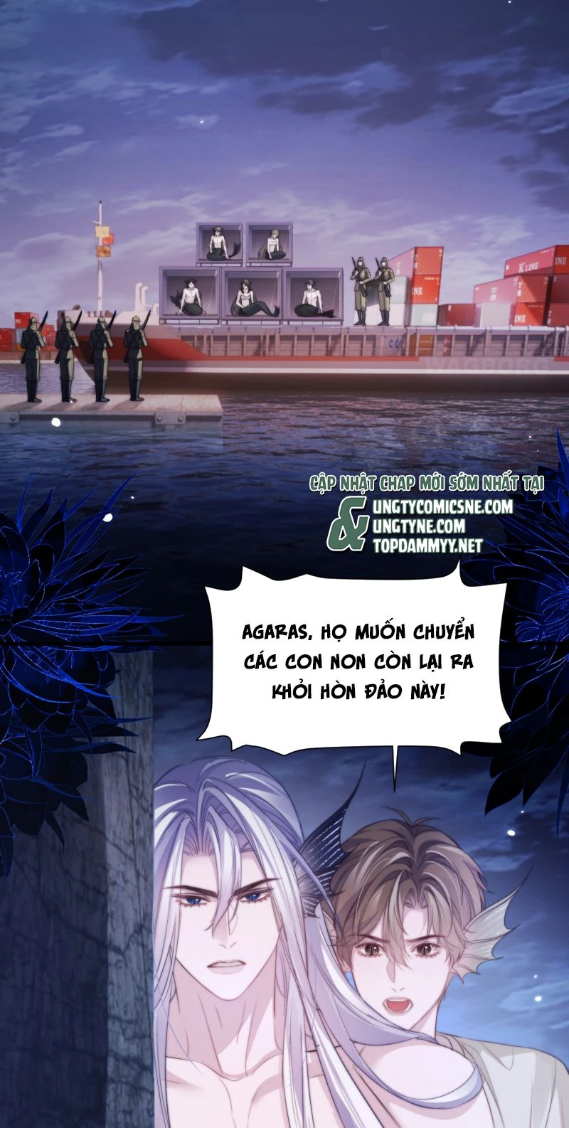 Desharow Nhân Ngư Chapter 144 - 21