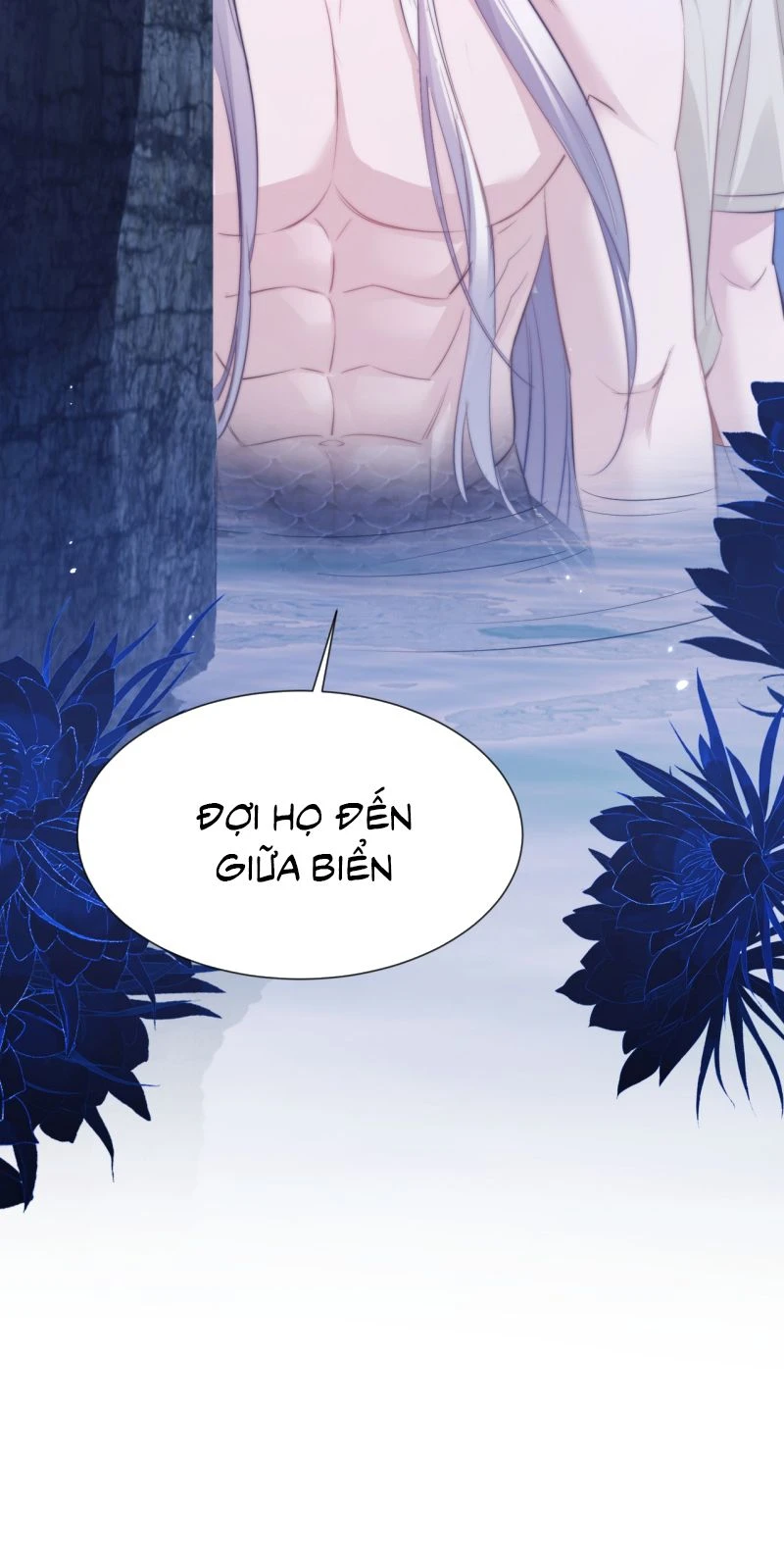 Desharow Nhân Ngư Chapter 144 - 22