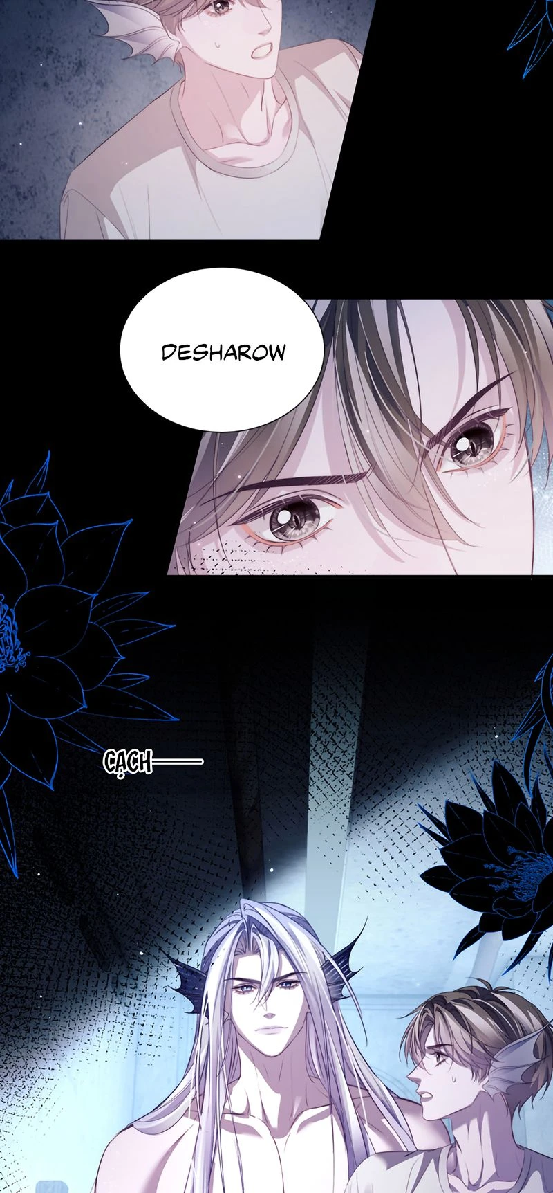 Desharow Nhân Ngư Chapter 146 - 6