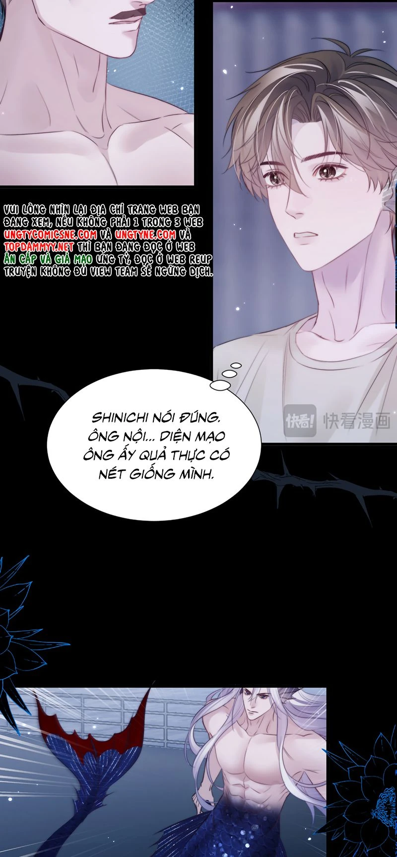 Desharow Nhân Ngư Chapter 146 - 17