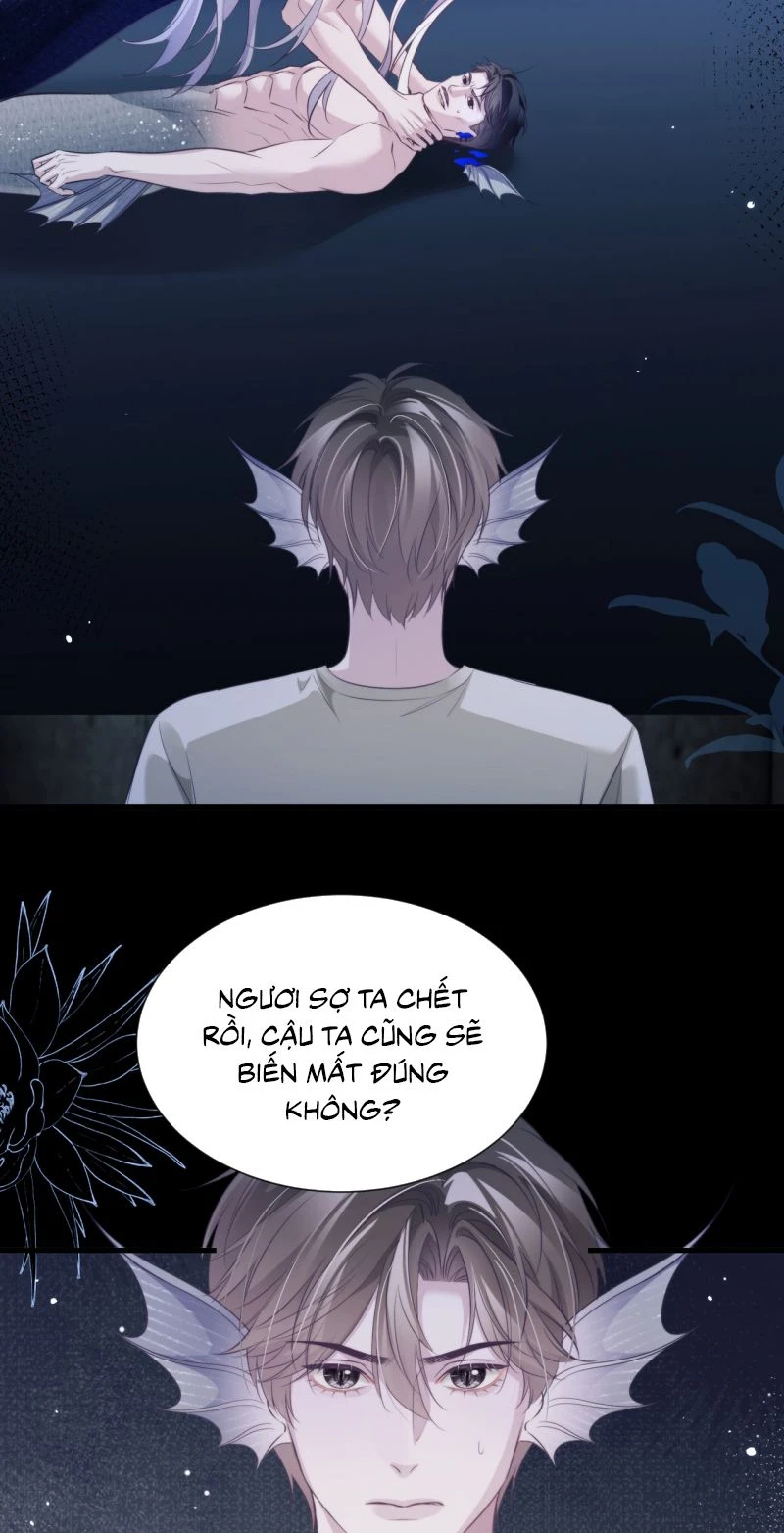 Desharow Nhân Ngư Chapter 147 - 4