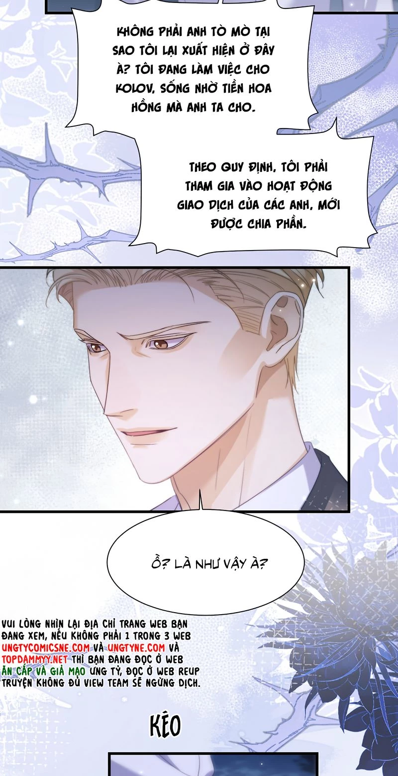 Desharow Nhân Ngư Chapter 114 - 11