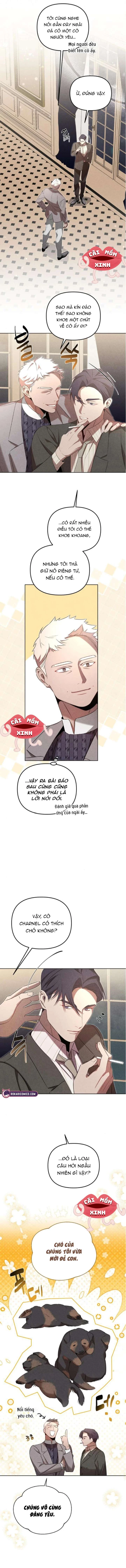 Nơi Đóa Hồng Vàng Úa Tàn Chapter  13 - 10