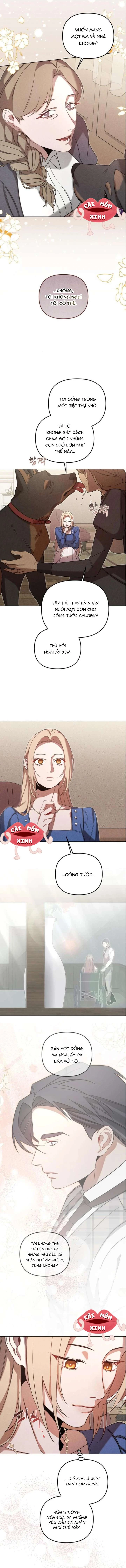 Nơi Đóa Hồng Vàng Úa Tàn Chapter 14 - 11