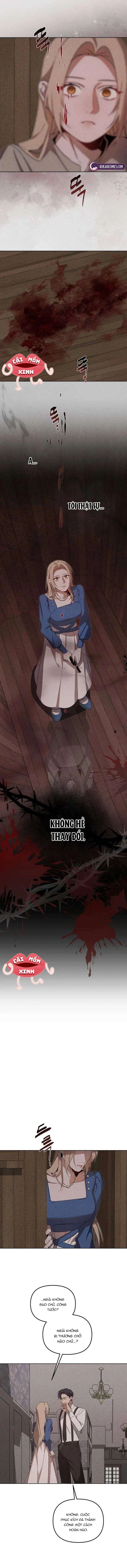 Nơi Đóa Hồng Vàng Úa Tàn Chapter  15 - 11