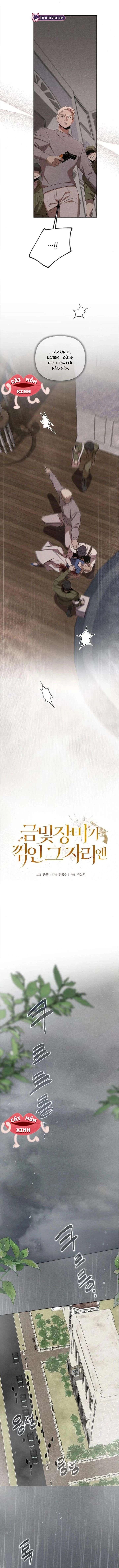 Nơi Đóa Hồng Vàng Úa Tàn Chapter  16 - 3