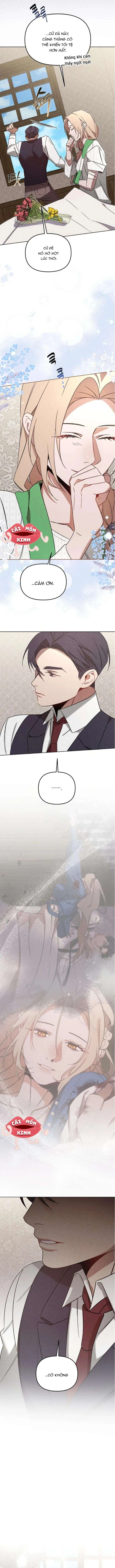 Nơi Đóa Hồng Vàng Úa Tàn Chapter  17 - 7