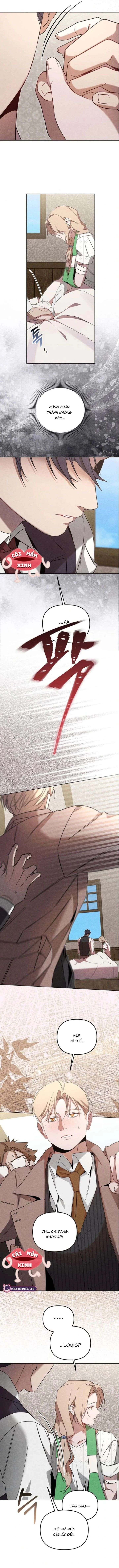 Nơi Đóa Hồng Vàng Úa Tàn Chapter  17 - 12