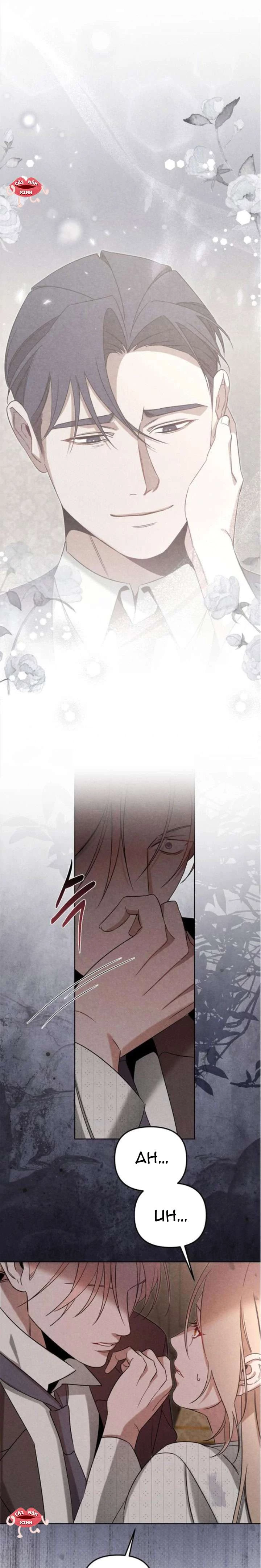 Nơi Đóa Hồng Vàng Úa Tàn Chapter  21 - 12