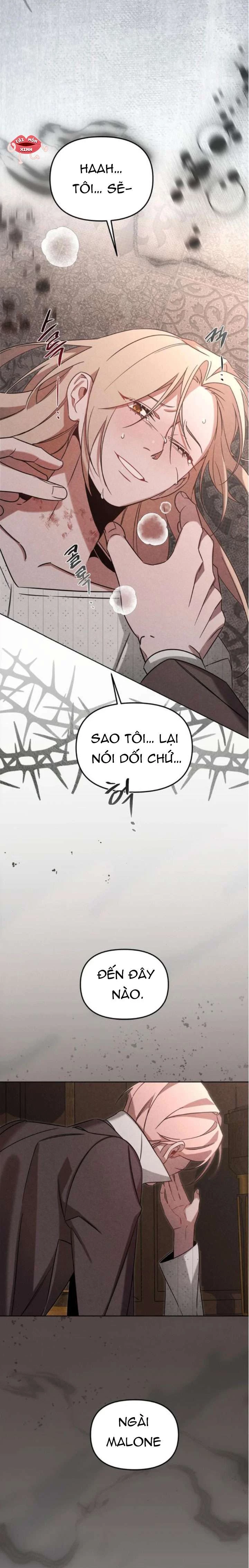 Nơi Đóa Hồng Vàng Úa Tàn Chapter  21 - 17