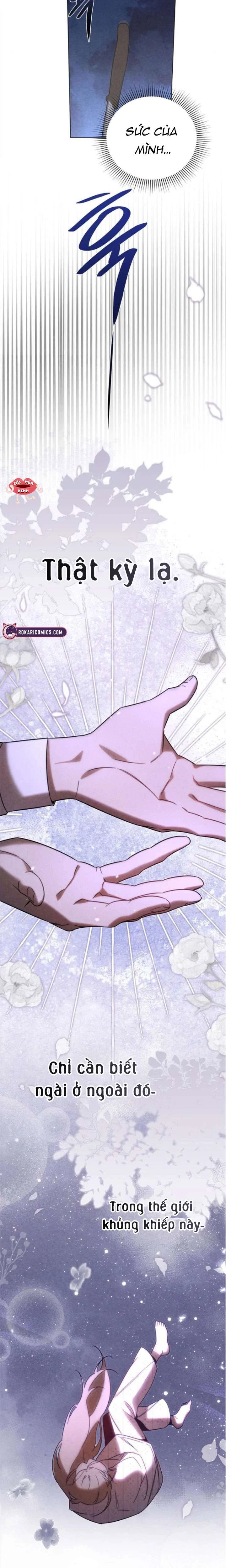 Nơi Đóa Hồng Vàng Úa Tàn Chapter  21 - 25