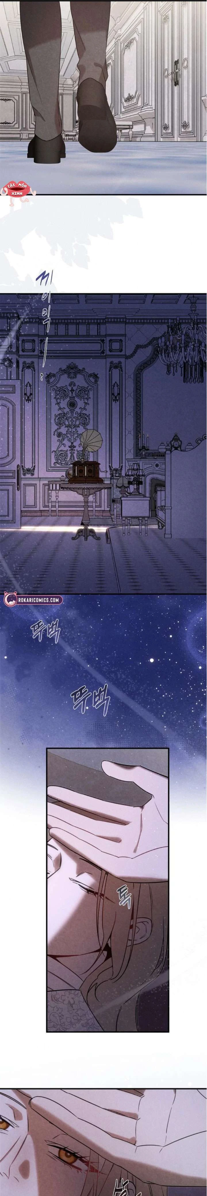 Nơi Đóa Hồng Vàng Úa Tàn Chapter  23 - 15